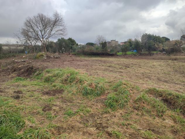 Agricolo in Vicolo Sant'Antonio in Canepine - Foto 3