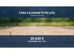 Immobile in asta di 1890 m² in vendita a Fara Filiorum Petri