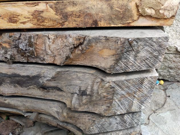 Legno di ACERO - Foto 5