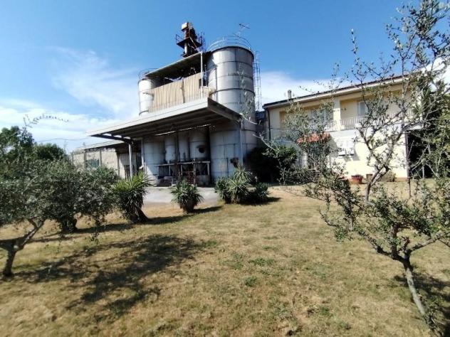 Capannone artigianale in vendita a Massa 1200 mq Rif: 1333026 - Foto 5