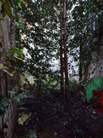 Immobile in asta di 1191 m² in vendita a Vergiate - Foto 14