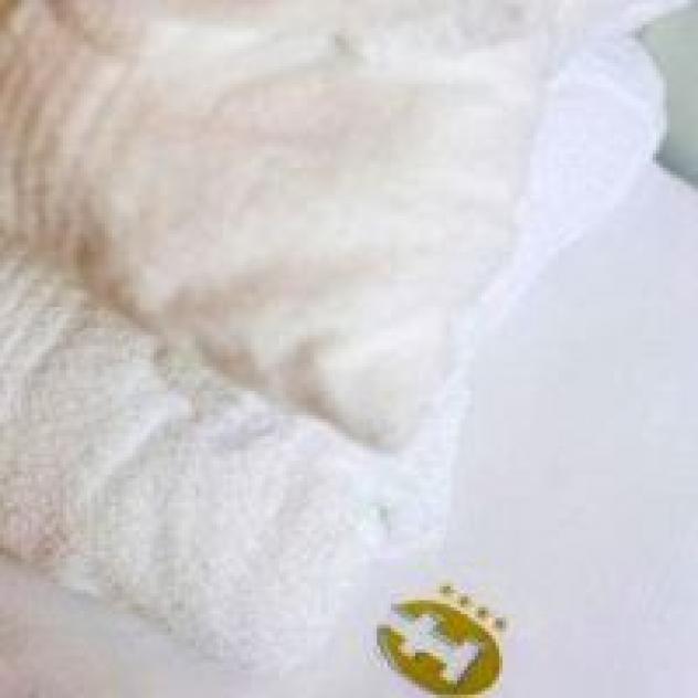 Hotel Carlton - S.r.l. - Foto 4