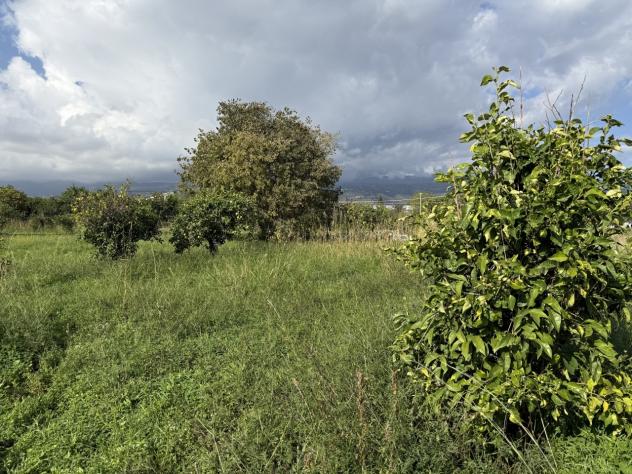 Agricolo in vendita a Giarre - Foto 9