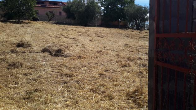 TERRENO AGRICOLO di 1300 mq (POMEZIA) rif. C/305 - Foto 17