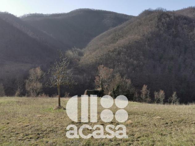 TERRENO AGRICOLO CON IMMOBILI DA RISTRUTTURARE - Foto 3