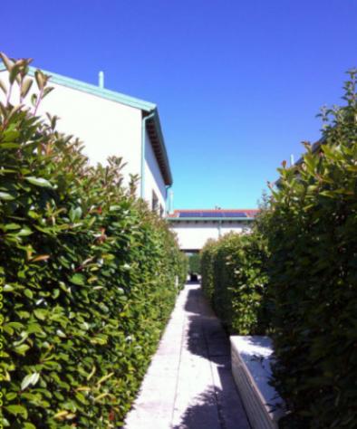 Immobile in asta di 73 m², box auto in vendita a Treviso - Foto 4