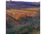 Agriturismo Circugnano