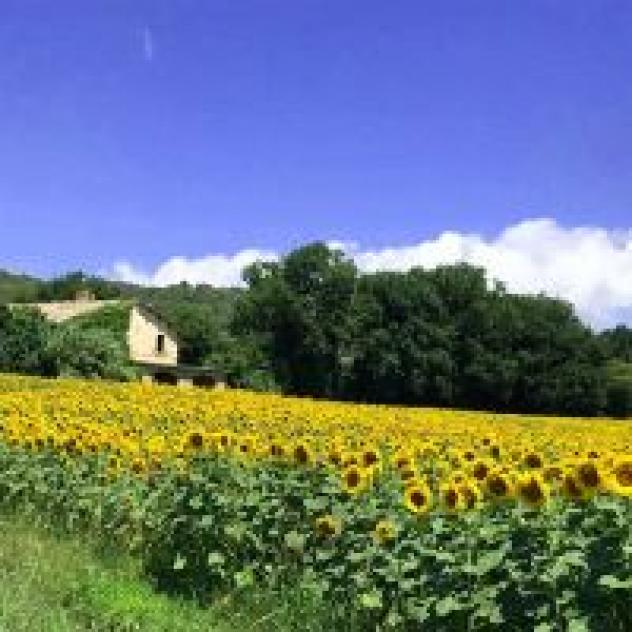 Azienda Agrituristica Levandara di Piersanti Franco - Foto 2