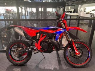 BETAMOTOR RR 250 RACING rif. 21942246