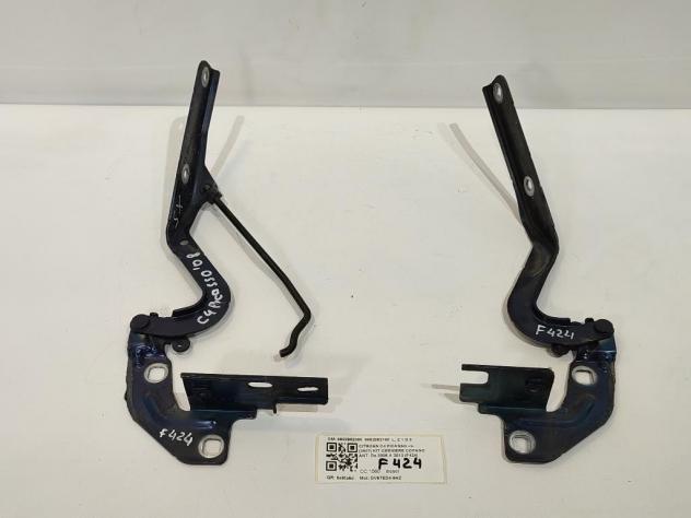 CERNIERE COFANO ANTERIORE DX E SX CITROEN C4 Picasso Mk1 9652962080 9652962180 DV6TED4-9HZ (0613)