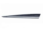 MODANATURA PORTA ANT SX RENAULT Clio Serie IV 808777693R (1219)