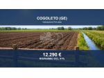 Immobile in asta di 3426 m² in vendita a Cogoleto