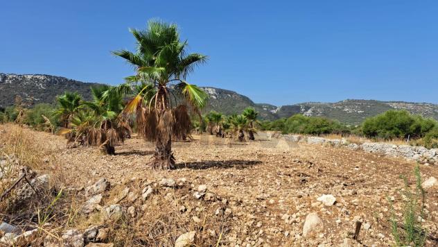 Terreno in vendita a Priolo Gargallo - Foto 8