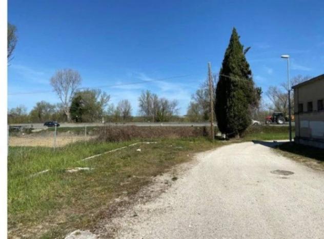 Immobile in asta di 12029 m² in vendita a Montelabbate - Foto 2