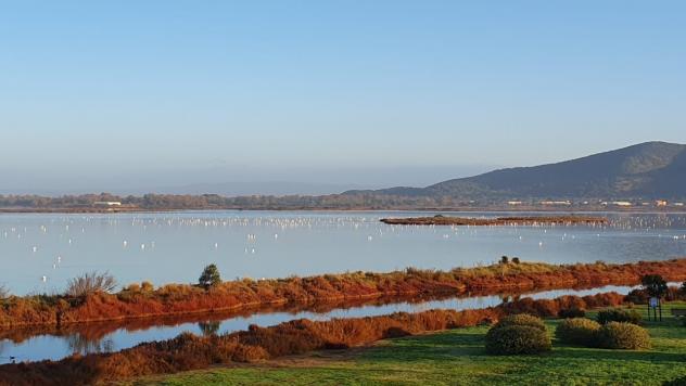 Bilocale in vendita a Orbetello - Foto 14