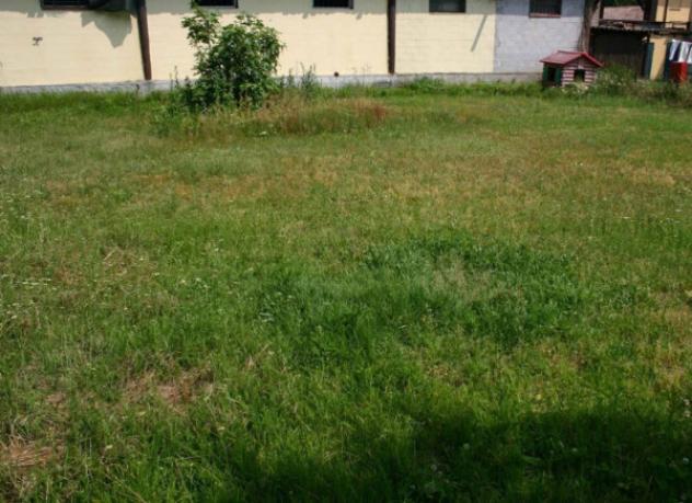 Immobile in asta di 6975 m² in vendita a Vellezzo Bellini - Foto 7