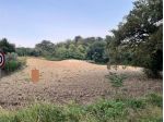 MOMBAROCCIO VENDESI TERRENO  UN' ETTARO DI TERRENO AGRICOLO  IN BELLA POSIZIONE