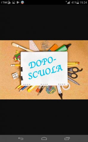 Madrelingua Olandese , impartisce lezioni e traduzioni