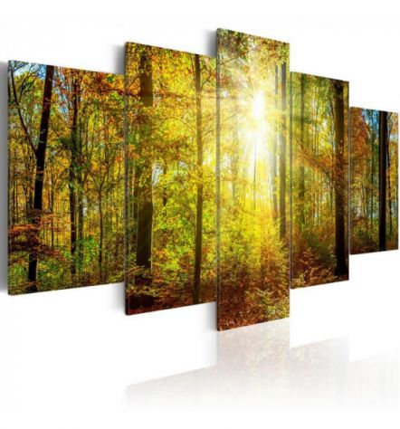 Quadro Foresta Misteriosa 100x50 E 200x100 ARREDALACASA