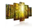 Quadro Foresta Misteriosa 100x50 E 200x100 ARREDALACASA