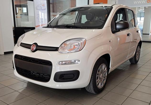 Fiat Panda Pandina 1.0 70CV Hybrid Icon - Nuova KM ZERO
