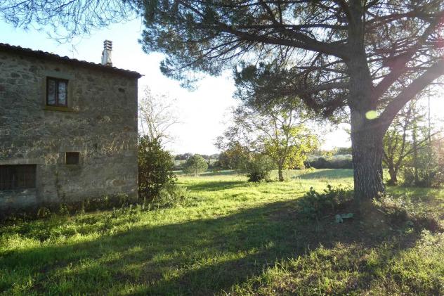 Rustico casale in Vendita in zona MONTEMASSI con giardino - Foto 7