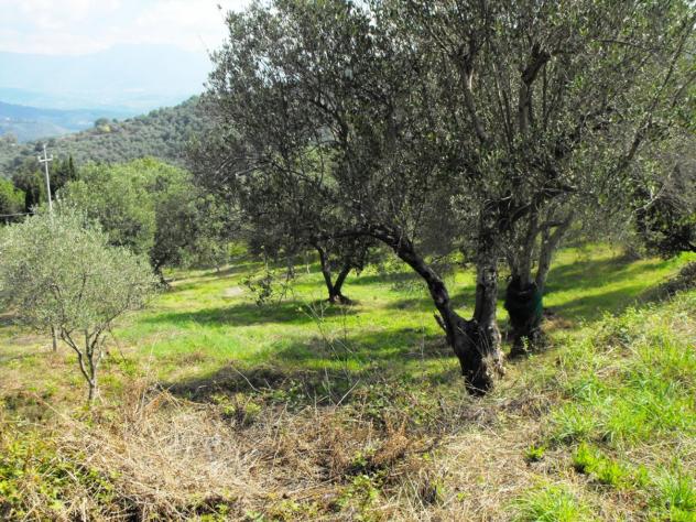 Agricolo in Località Caselle - Foto 6