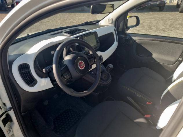 FIAT Panda 1.0 FireFly 70cv S&S Hybrid Pandina - DISPONIBILI VARI COLORI - Foto 6