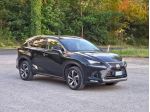Lexus NX 300h Hybrid 4WD F-Sport E6 Automatico 2020