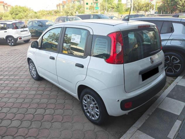 FIAT Panda 1.0 FireFly S&S Hybrid Icon - Foto 6
