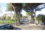 Magazzin di 2 locali in Affitto[25 mq]