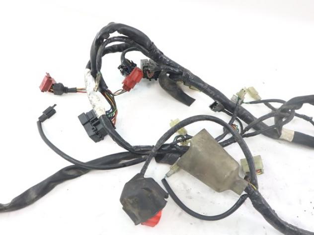 HONDA PANTHEON 150 32100KRJ901 CABLAGGIO IMPIANTO ELETTRICO 03 - 08 MAIN WIRING HARNESS - Foto 3