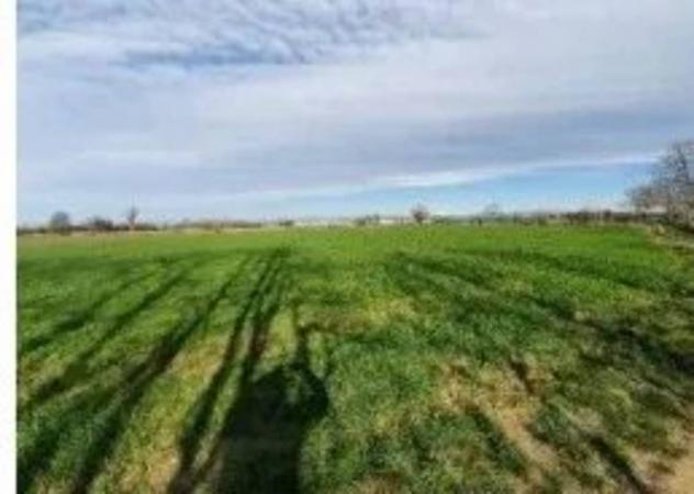 Immobile in asta di 7708 m² in vendita a Aiello del Friuli - Foto 2