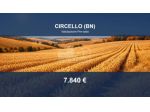Immobile in asta di 75610 m² in vendita a Circello