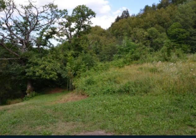 Immobile in asta di 9162 m² in vendita a Sestola - Foto 5