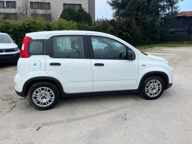 FIAT Panda Panda 1.0 FireFly S&S Hybrid - Foto 6