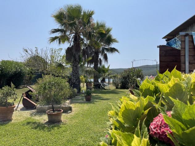 Seminativo in vendita a Orbetello - Foto 5