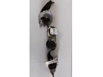 COPPIA CINTURE POSTERIORI DX E SX  FIAT PANDA 2015  619814200 629814300