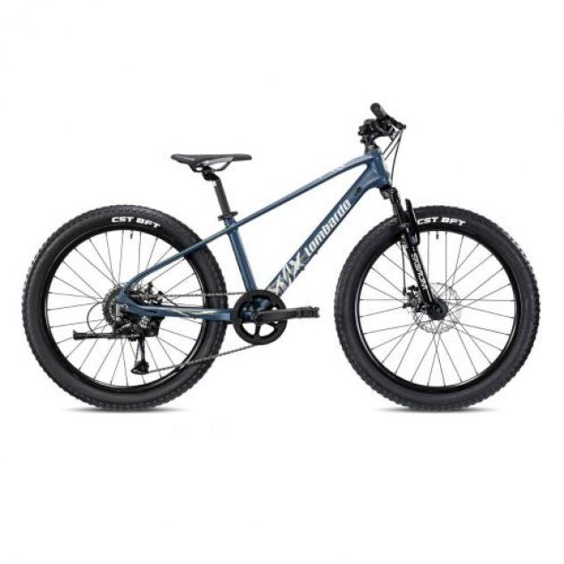 Bici Vesuvio Lombardo - Foto 2