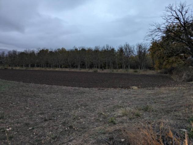 Immobile in asta di 9520 m² in vendita a Ofena - Foto 9