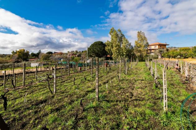 Terreno Edificabile in vendita a Viagrande
