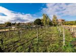Terreno Edificabile in vendita a Viagrande