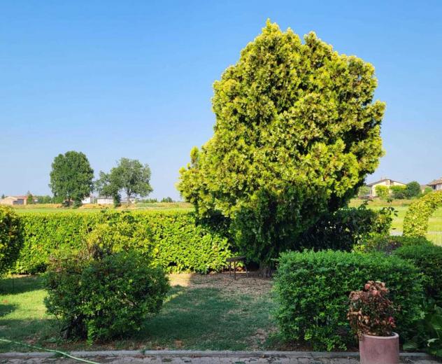 Quadrilocale in vendita a Fontanellato - Foto 7