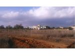 V1515 - In vendita a Marsala terreno agricolo periferia