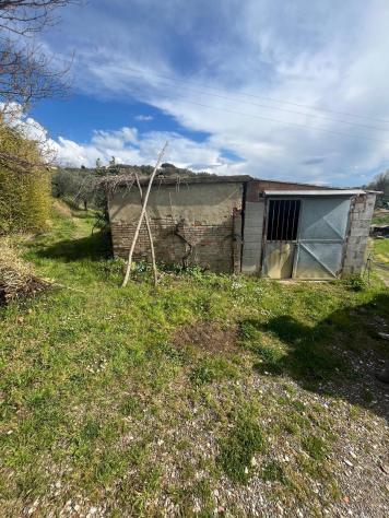 Annesso agricolo in vendita a Capannoli 6500 mq Rif: 1326738