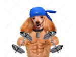 🏋️SCHEDE DI ALLENAMENTO PERSONALIZZATE – ONLINE