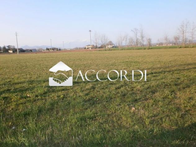 AREA EDIFICABILE di 1000 mq (MASER) rif. DG331 - Foto 4