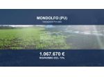Immobile in asta di 83314 m² in vendita a Mondolfo
