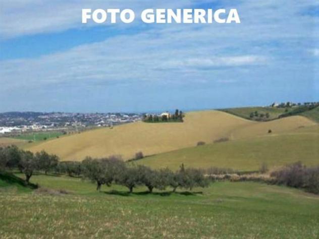 Terreno agricolo in vendita a Calenzano - San Miniato 3700 mq  Rif: 1381988