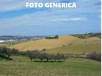 Terreno agricolo in vendita a Calenzano - San Miniato 3700 mq  Rif: 1381988